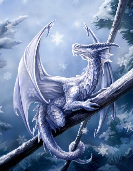 Snow Dragon – Diamond Art Club