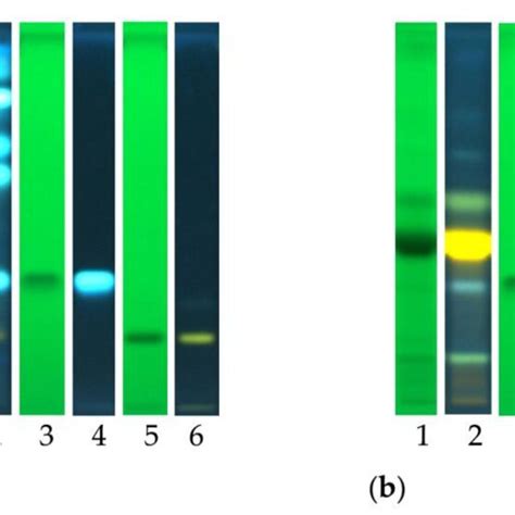 High Performance Thin Layer Chromatography Hptlc Fingerprints Of A