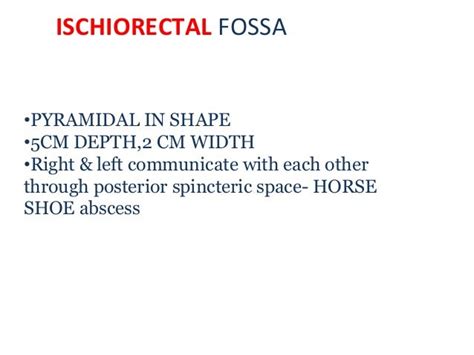 PERIANAL ABSCESS & ISCHIORECTAL ABSCESS