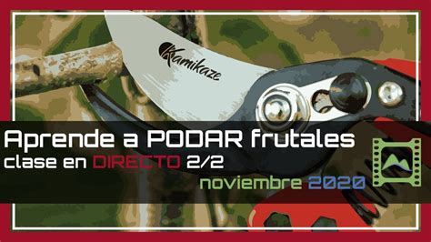 Te enseño Cómo PODAR árboles frutales en DIRECTO vídeo 2 2 Noviembre