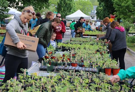 Two Local Nonprofits Join Forces To Bring Larger Than Ever Plant Sale