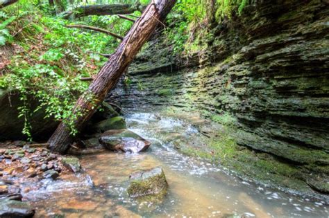 The Hiking Trail Hiding In Tennessee That Will Transport You To Another