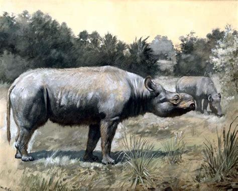 Prehistoric Animals Of Missouri