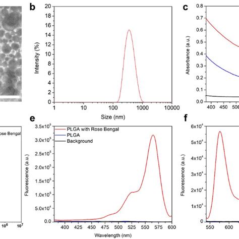 Schematic Illustration Of Plga Nanoparticle Synthesis And Chemical Download Scientific Diagram