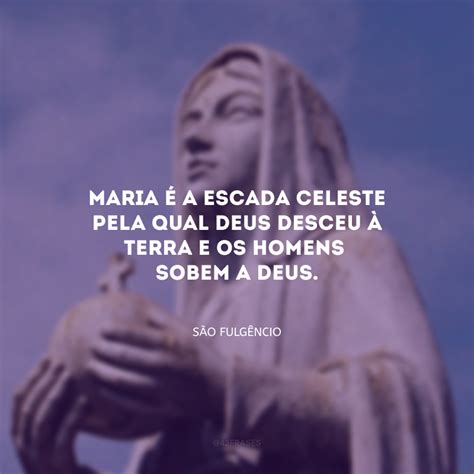 Frases De Nossa Senhora Para Demonstrar Sua Devo O