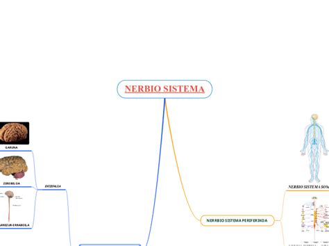 NERBIO SISTEMA Mind Map