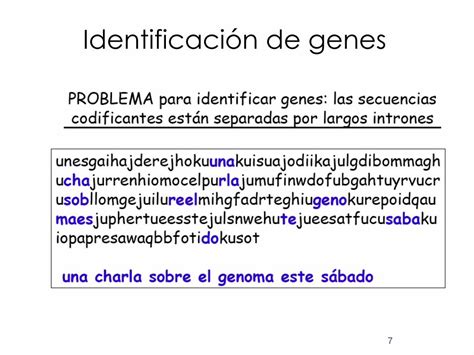 Pdf Mecanismos De Regulaci N De La Expresi Npeces Ens Uabc Mx Bcym