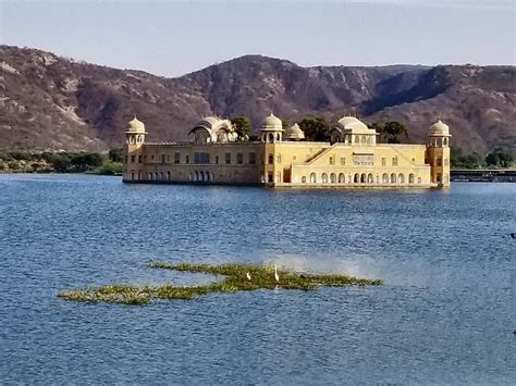 LAKE PALACE HOTEL - Prices & Lodge Reviews (Jaipur, India)