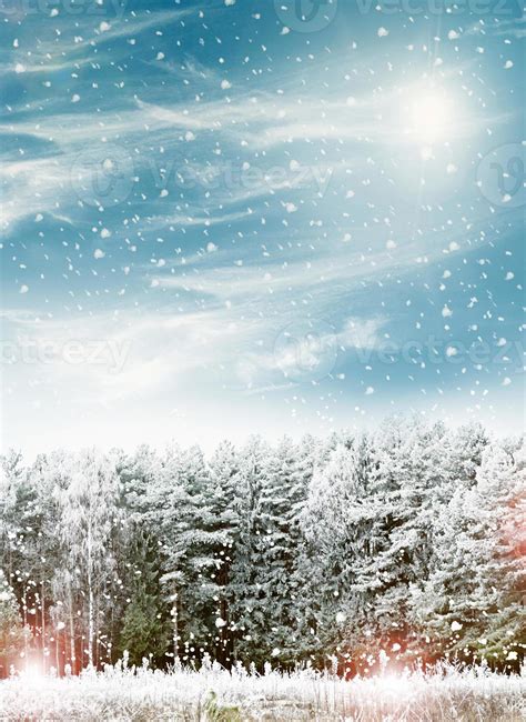 Winter. Snowfall. Photo. 9962822 Stock Photo at Vecteezy