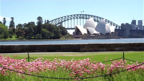 Royal Botanic Gardens Sydney Fasci Garden