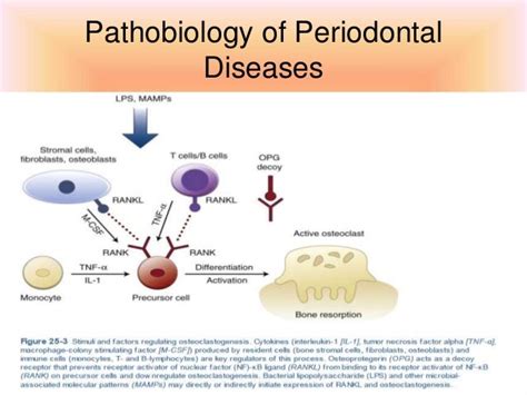 Host Microbial Interaction Part 2