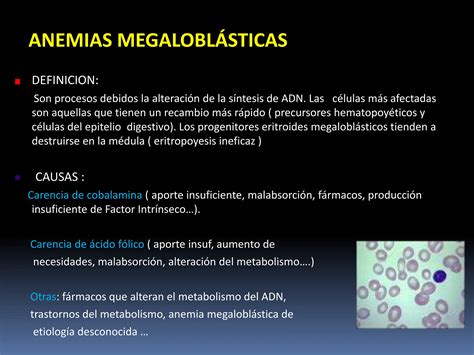 Anemias Tipos Causas Y Sintomas Mas Comunes Tratamiento Ppt