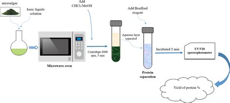 Representation Of Experimental Operation Of Protein Extraction From Download Scientific Diagram