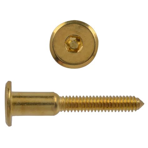 Paulin 1 4x2 Connector Bolt Brass Plated The Home Depot Canada