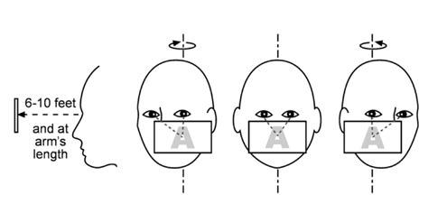 Texas Dizziness Blog Vestibular Rehabilitation Therapy Vrt