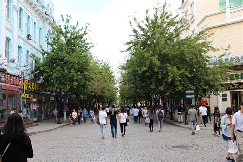 central street  summer picture  hd     lovepik