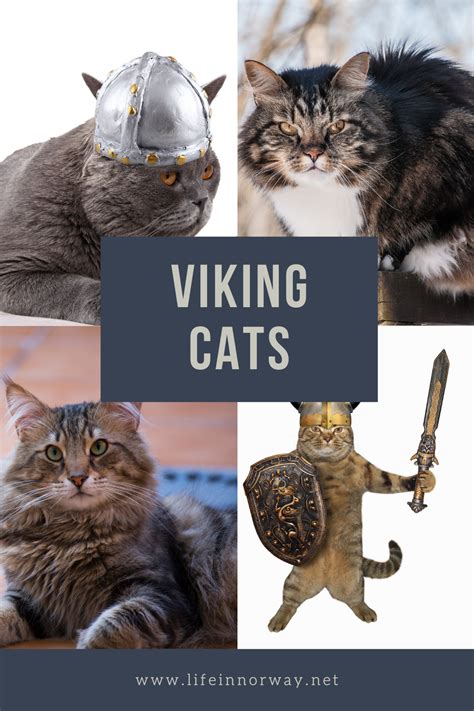 Viking Names Popular Norse Inspired Names Artofit