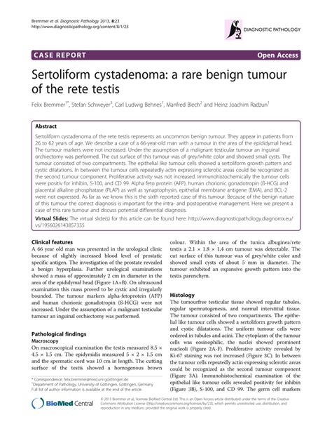 Pdf Sertoliform Cystadenoma A Rare Benign Tumour Of The Rete Testis