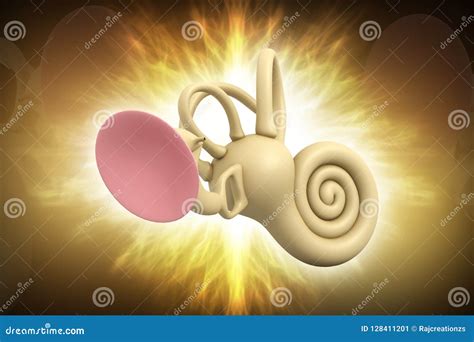 3d Rendered Inner Ear Cochlea Isolated On A Color Background Stock