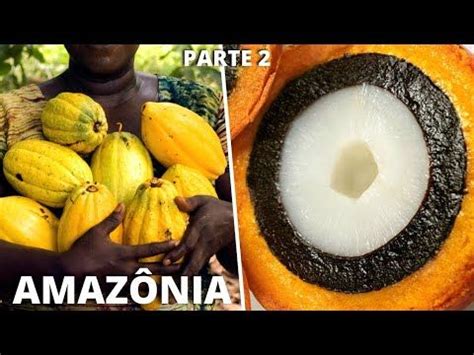 Frutas Brasileiras Mais Diferentes E Curiosas Nativas Da Amaz Nia