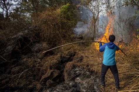 Foto Hektar Lahan Di Kawasan Hutan Lereng Gunung Ciremai Terbakar