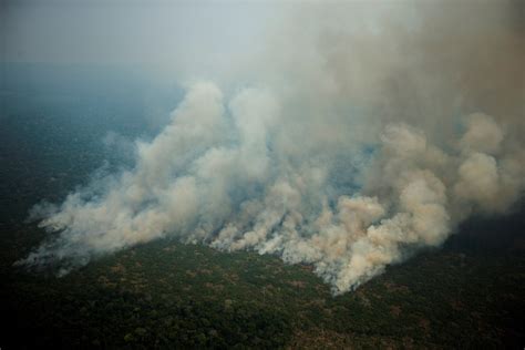 La Amazonía Brasileña Registro En Agosto El Triple De Fuegos Que En 2018