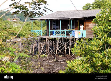 Houses Among Mangroves Belakang Padang Riau Islands Indonesia Stock