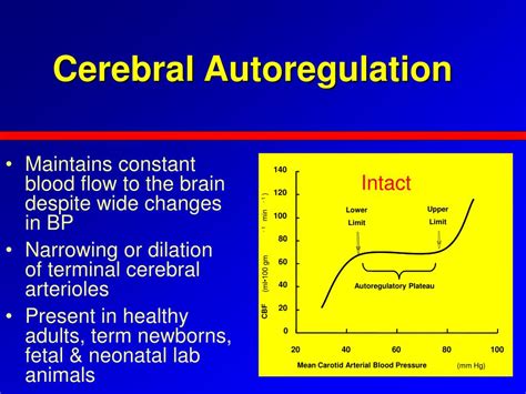 Ppt Brain Injury In Premature Infants The Role Of Cerebral