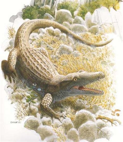 Dinosaurs Weren't The Only Reptiles to Go Extinct | Crocodile pictures ...