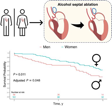 Sex‐related Differences In Patients With Hypertrophic Cardiomyopathy Undergoing Alcohol Septal