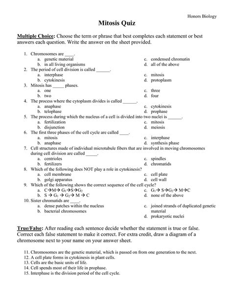 Meiosis Worksheet Answer Key Multiple Choice Art Forms Multiple Choice Worksheet And Answer