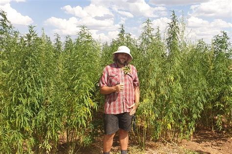 Industrial Hemp Development in Northern Western Australia 2021 | Agriculture and Food