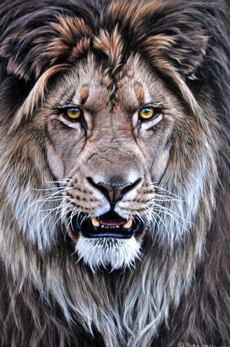 Lion Cub Painting at PaintingValley.com | Explore collection of Lion ...