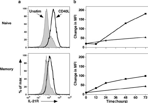 Il 21r Expression On Activated Naive And Memory B Cells Sort Purified