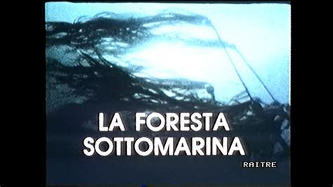 Rai DSE Meridiana La Foresta Sottomarina 20 04 1989 YouTube