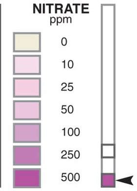 Dissolved Oxygen Color Chart Minga