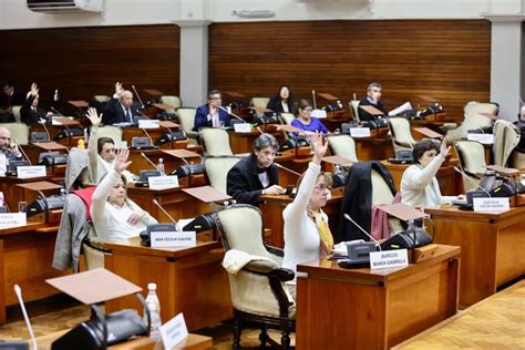 Entre Gallos Y Medianoche Se Aprobó La Reforma Constitucional De Jujuy Argmedios