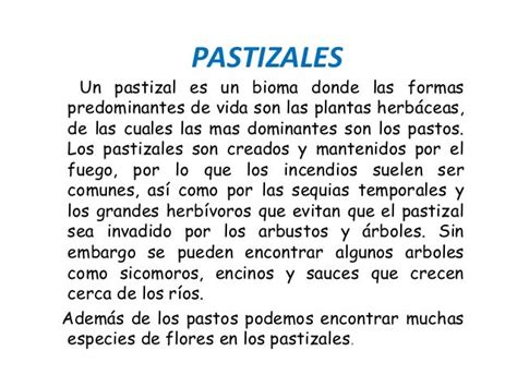 Pastizales