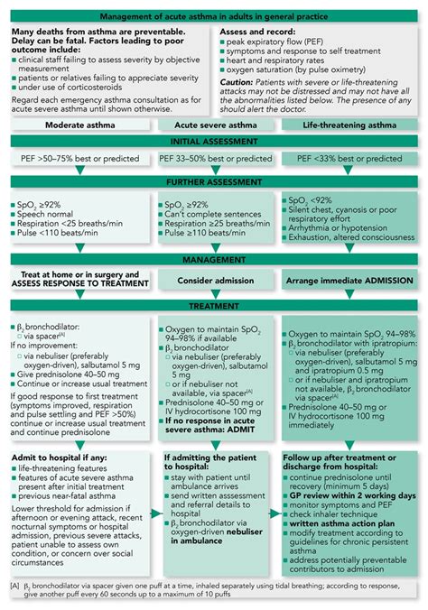 Asthma Adults Diagnosis And Pharmacological Management