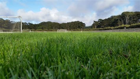 Golden Gate Park Polo Field San Francisco California