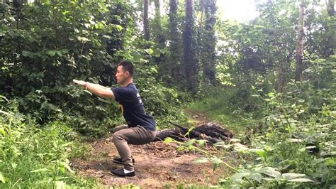 Wu Bu Quan 五步拳 Five stances form Part 1 Master Yan Xin YouTube