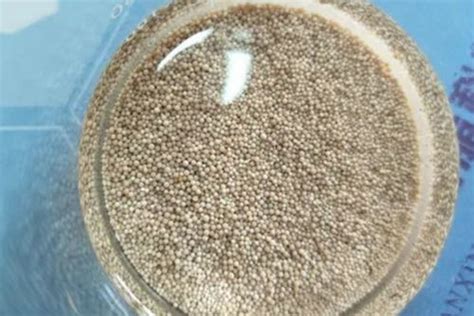 D Macroporous Strong Acid Cation Exchange Resin Cas No