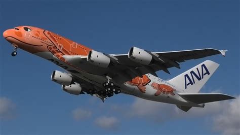 Ana Turtle Livery A380