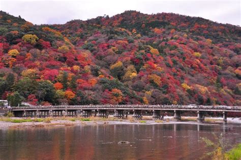 Things to Do in Japan in October, What to do In Japan in October for ...