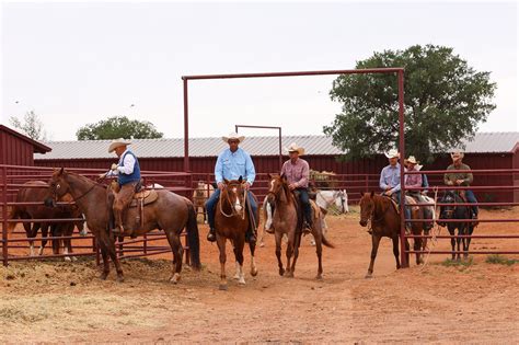 Inside ‘Yellowstone’ creator Taylor Sheridan’s $350M ranch amid spending scandal – OkDaily