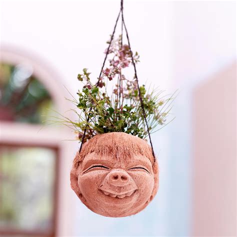 Bungalow Rose Coconut Shell Hanging Planter Wayfair