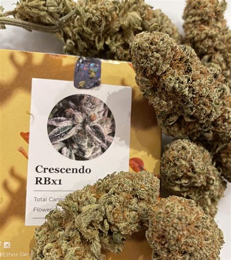 Ethos Genetics Crescendo Rbx Grow Diary Journal Harvest By