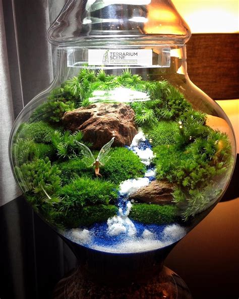 228 Likes 11 Comments Terrariumscene Terrariumscene On Instagram