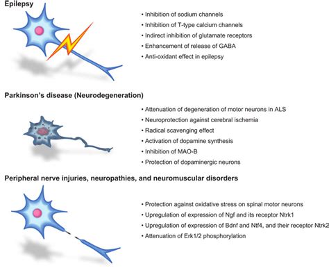 Currently Available Clinical Application Of Zonisamide For Epilepsy And