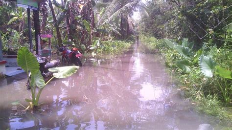 Banjir Sebabkan Petambak Ikan Cilacap Rugi Ratusan Juta Rupiah